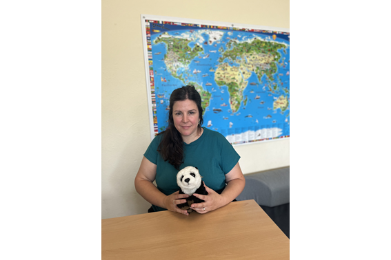 Hier sollte ein Bild sein!